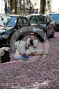 Young women sitting on road covered with red rose cherry blossoms