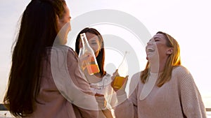 Young women toasting non alcoholic drinks on beach