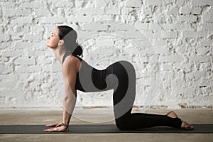 Young yogi attractive woman in Cow pose, white loft background