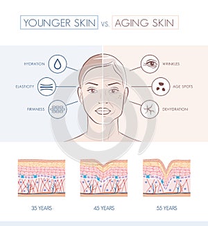 Younger and older skin comparison