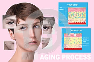 Younger skin and aging skin. elastin and collagen. photo