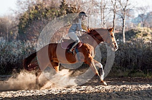 Young girl riding a horse