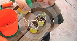 Hombre joven regando plantas 