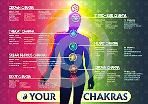 Your 7 Chakras