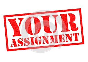 YOUR ASSIGNMENT