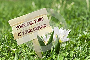 Your culture is your brand photo