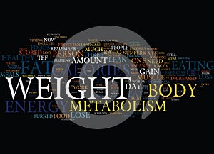 Your Metabolism And Fat Loss Text Background Word Cloud Concept