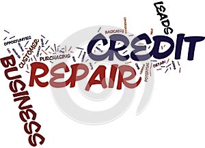 Your Own Credit Repair Business Text Background Word Cloud Concept