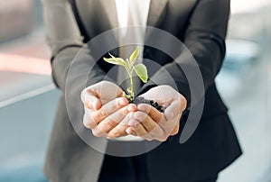 Your safety is in my hands. Shot of a unrecognizable woman holding a plant at home.