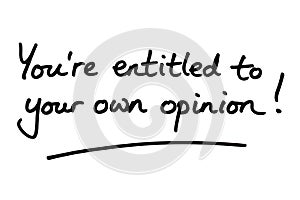 Youre entitled to your own opinion photo
