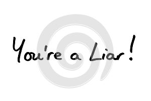 Youre a Liar photo
