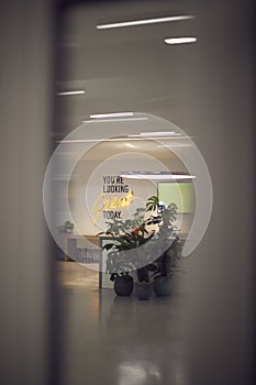 Youre Looking Great Today Neon Sign In Modern Creative Office photo