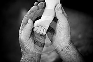 youth and old age. Hands of grandmother and granddaughter