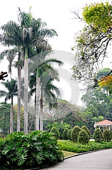 Youth park scenery