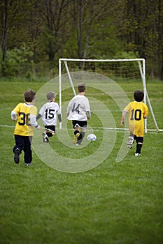 Youth Soccer Game