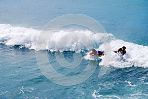 Youth Surfing Waves Hawaii Tropical Island