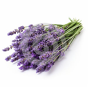 Youthful Energy: Real Lavender Flowers On White Background