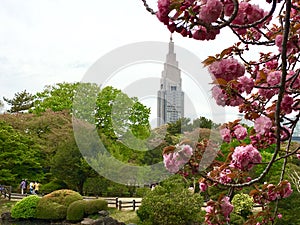 Yoyogi Koen garden in  japan