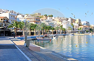 Ãâ¢ypical European tourist city by the sea in turquoise lagoon, reflection of houses in the blue water, seagulls flying in the