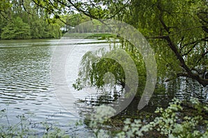 Ypres barricades giant lake at the park