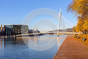 Ypsilon Bridge Autumn