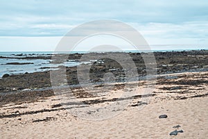 Ytri Tunga beach in Iceland on the Snaefellsnes Peninsula