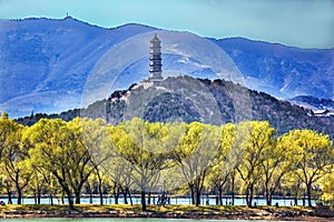 Yu Feng Pagoda Summer Palace Willows Beijing China