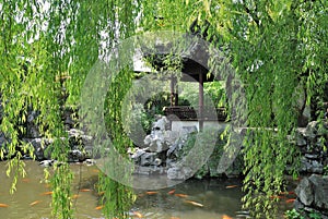 Yu Garden landscape architecture