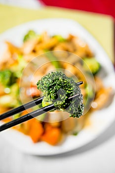 Yu-Shiang Chicken with Garlic Sauce photo
