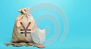 Yuan Yen money bag and protection shield. Guarantee of protection of means of savings and investments. Secured loan. Ease doing