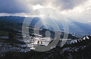 Yuanyang rice terrace