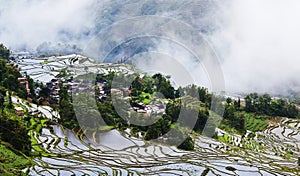 Yuanyang rice terrace