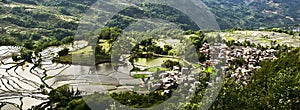 Yuanyang rice terrace