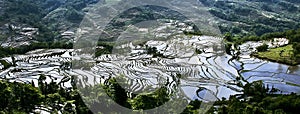 Yuanyang rice terrace