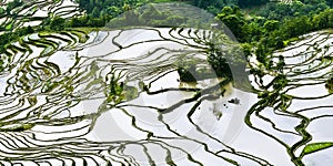 Yuanyang rice terrace