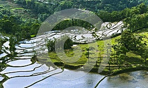 Yuanyang rice terrace