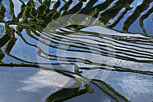 Yuanyang rice terrace