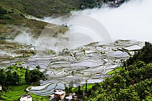 Yuanyang rice terrace photo