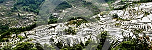 Yuanyang rice terrace photo