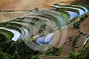 Yuanyang rice terrace photo