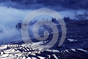 Yuanyang rice terraces