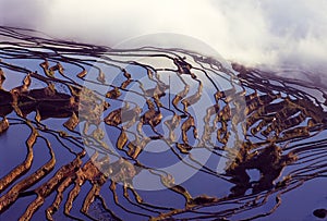 Yuanyang rice terraces