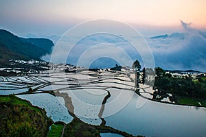 Yuanyang Rice Terraces in China