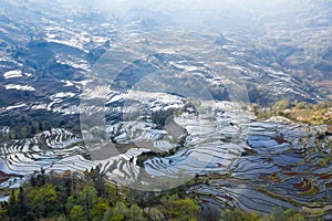 Yuanyang terraced fields landscape