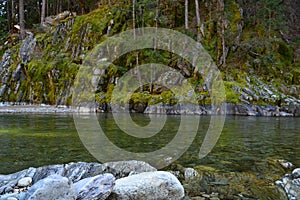 Yuba River Moss