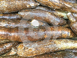 Yuca root, Cassava root