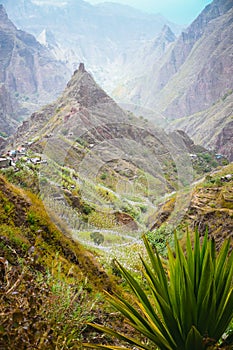 Yucca plants and sugar cane on trekking path way towards mountain peak of Xo-xo valley. Santo Antao island, Cape Verde