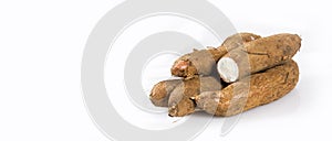 Yucca root with high value starches - Manihot esculenta photo
