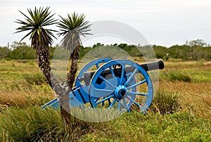 Yucca tree and cannon on battlefield