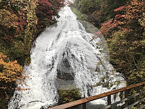 Yudaki falls in autumn.